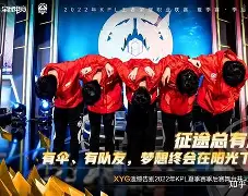 尼斯是哪个国家的球队 尼斯是哪个国家的球队